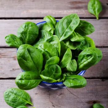 spinach (4)-9782585-37686.webp